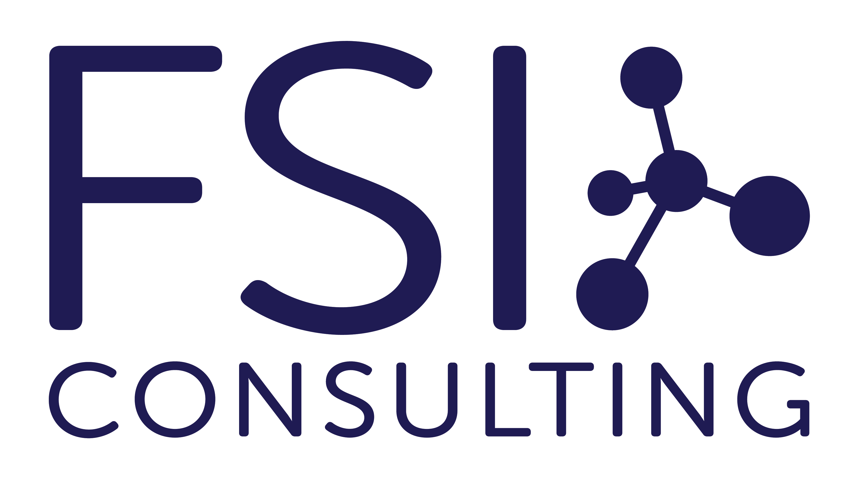 FSI Consulting